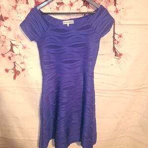 Royal Blue Dress